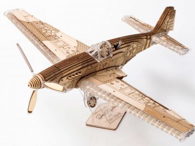 Šturmo lėktuvas 3D modelis